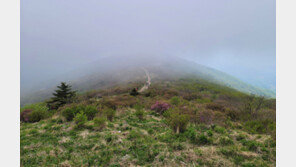 지리산서 전기 산악열차 볼 수 있을까…남원시 “주민 불편 해소”