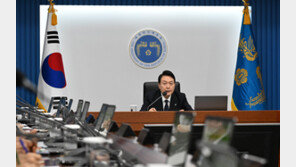 車개소세 30% 인하 연말까지 연장…돼지고기 등 관세 0% 적용