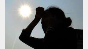 땡볕 아래 3시간 방치…카 시트 앉은 채 숨진 美 5세아 ‘충격’