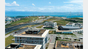 中企-글로벌 기업 협업 통해 IT허브 꿈꾸는 ‘튀르키밸리’ 