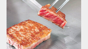 서핑부터 와규, 트레킹까지…올여름엔 일본 미야자키현으로 떠나볼까