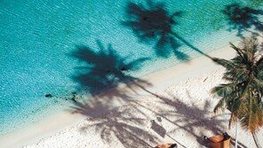 괌 입국 한국인 관광객 신속항원검사 무상지원