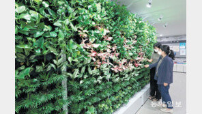 IoT 기술활용 실내정원 ‘스마트가든’