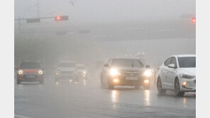 첫 장맛비 내리는 제주