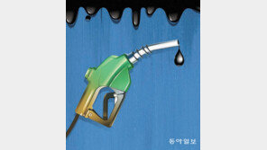 유류세 최대 인하폭 與, 30→50% 확대 추진