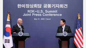 美, ‘北 대화추구·제재이행’ 한반도 전략 공개…FFVD는 삭제