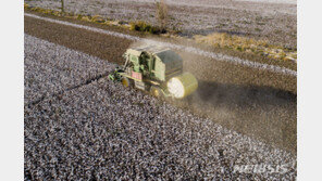 중국, 美 신장산 수입금지법 발효에 “단호한 대응”