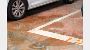 다세대주택에 1시간 몰래 주차했다가…벌금 50만원