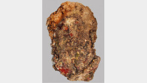 120년간 계속 보물 쏟아내는 2000년 된 난파선…‘헤라클레스 석상’ 발견
