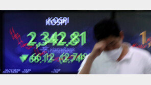 “우량주도 반토막, 주식 앱 촉수엄금”…개미 ‘곡소리’ 커졌다