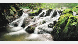 ‘무등산 둘레길’ 생태문화 역사탐방으로 광주 시민들에게 인기
