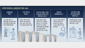 전세 끼고 산 집주인, 5%내 재계약해도 양도세 혜택 못받아 