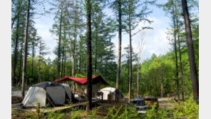 3대가 덕을 쌓아야 당첨? 296대 1 최고 인기 휴양림은?