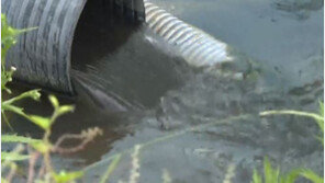 하수처리장 27곳서 불법 마약류 검출…필로폰은 모든 처리장서 나와