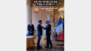 최태원, 레지옹 도뇌르 수상…佛 최고 권위 훈장 