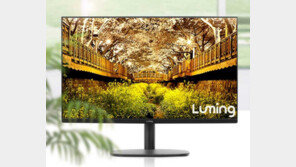 IT 유통 ‘큰 손’이 내놓은 ‘루밍’ 모니터, 시장 안착 여부에 ‘주목’