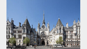 임신 중 아내 사망…英법원 “남은 배아 사용해 대리모 출산 허용” 판결