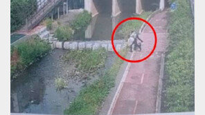 돌팔매질로 오리가족 죽인 남성, 10대 형제였다 “호기심으로…”