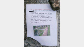 ‘방학천 오리가족 돌팔매질’ 10대 형제 검거…“호기심에”