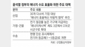 국가 에너지효율 2027년까지 25% 개선 