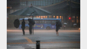 동부간선도로 전면 통제… 강화선 비닐하우스 침수 