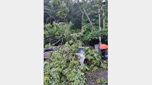 경기 도로 곳곳 침수… 밤사이 4명 구조·156건 배수·안전조치