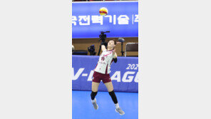 KGC인삼공사 날벼락…VNL 소집된 이선우까지 발목 인대 파열로 귀국