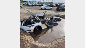 꺼도 꺼도 살아나는 테슬라 불…결국 물웅덩이 만들어 풍덩 