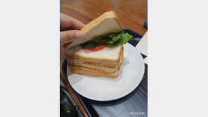 “이 정도라니”…스타벅스 6700원 샌드위치 내용물 보니