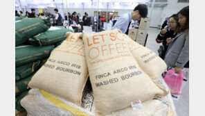 내달부터 커피 생두 부가세 면제…정부 업계에 ‘가격 인하’ 요청