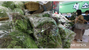 먹거리 물가 무섭네…4인 가구 식비 월평균 100만원 넘어