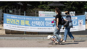 7월부터 두 달간 미등록 반려견 자진신고 기간 ‘과태료 면제’