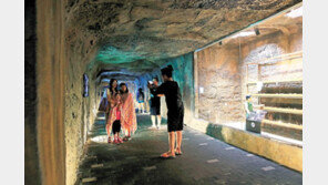 3년만에 문 연 보령냉풍욕장