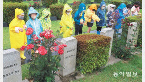 유치원생들 비옷 입고 참전용사 묘역 참배