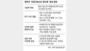 “AI반도체 육성” 5년간 1조 투입… 전문인력도 7000명 키운다