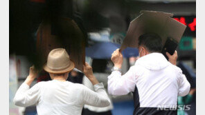 [날씨]전국 장맛비…수도권·강원 일부 250㎜ ‘폭우’