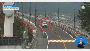 경찰 “밀항? 확인되지 않은 추측”…전문가도 “가능성 낮아”