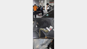 “차 에어컨서 X냄새”…필터 뜯어봤더니 독사가 꿈틀