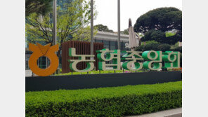 농협 직원 또 회삿돈 손댔다…내부 통제시스템 강화에도 속수무책