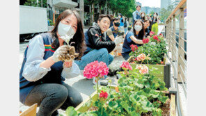 꽃 심고, 쓰레기 줍고… 푸른 서울 가꾸기 나서