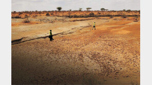 소말리아 식량난 막기 위해 모금운동 전개