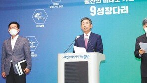 부울경 메가시티-해상풍력발전사업 속도조절 나선다