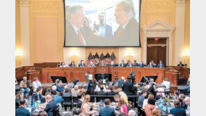 “트럼프, 의회 난입때 시위대 합류 시도… 말리는 경호원 목졸라” 