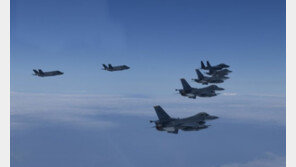 北매체, 韓 F-35 잦은 투입에 민감…“웃기는 허장성세”