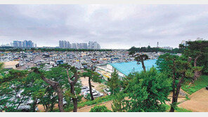 ‘중고차 수출단지’로 10년 이상 방치된 송도유원지