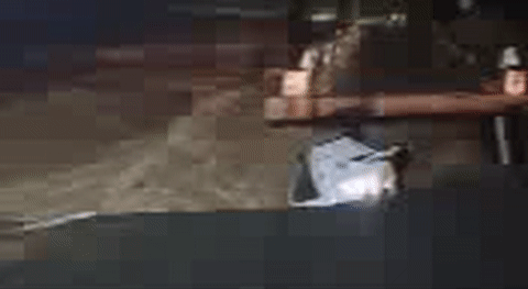 허리까지 차오른 물…‘뻥 뚫린 하늘’ 비 피해 속출[청계천 옆 사진관]