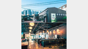 K뷰티 그룹 특별주주 모집… 매월 최대 2% 배당금 