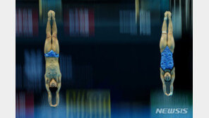 女 다이빙 간판 김수지, 세계선수권 결승행 좌절