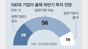 500대 기업 28% “하반기 투자, 상반기보다 줄일것” 