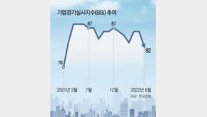 국내 소비 3개월째 하락… 기업체감경기도 빨간불 